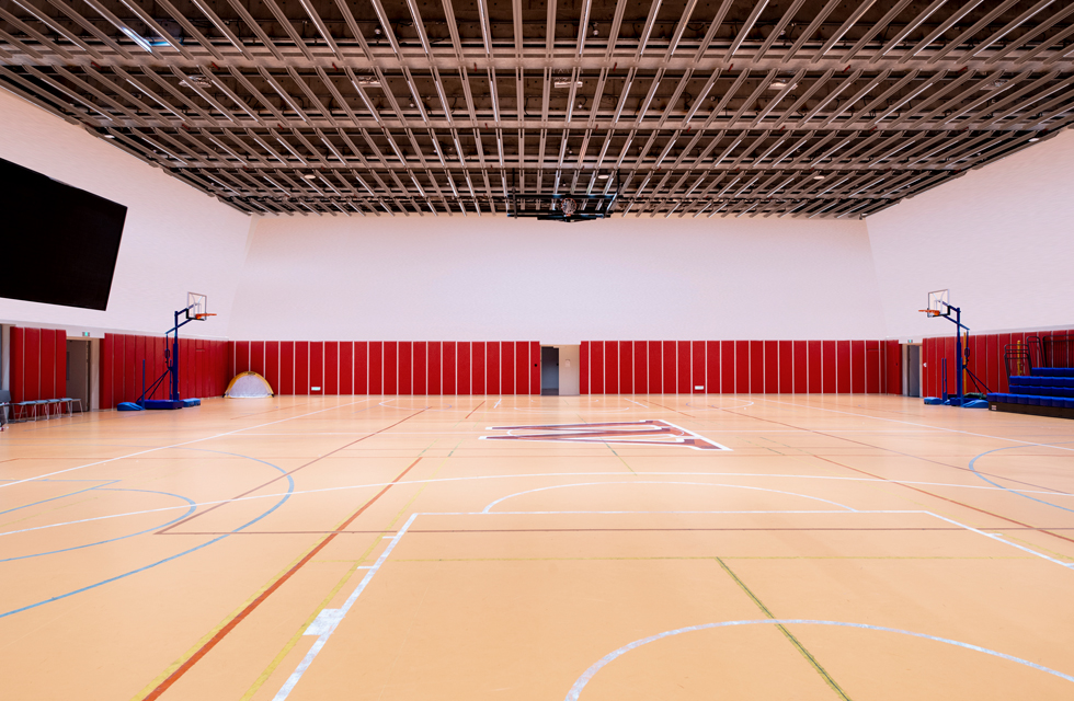 Underground basketball room
