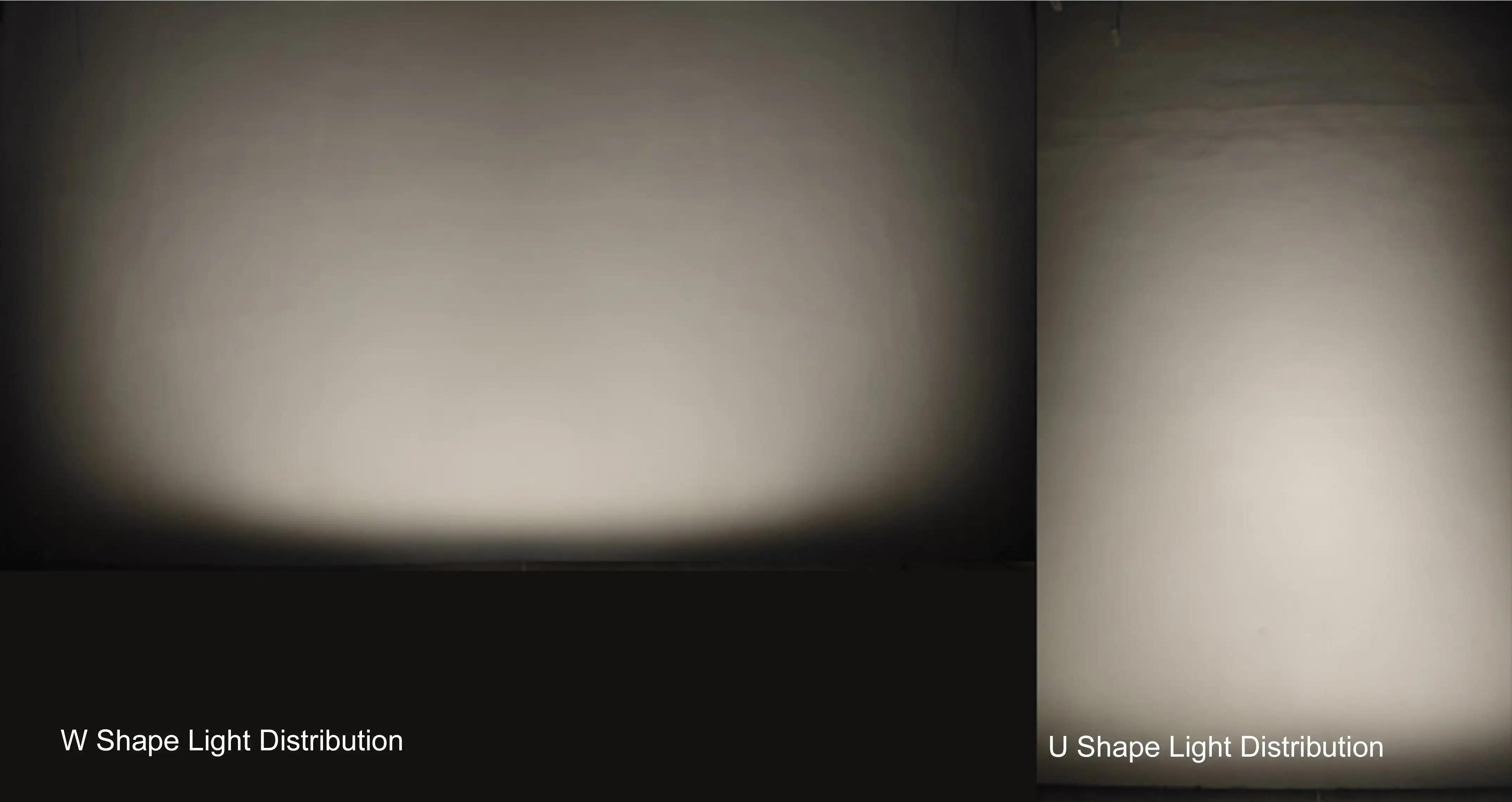 Two types of wash system options