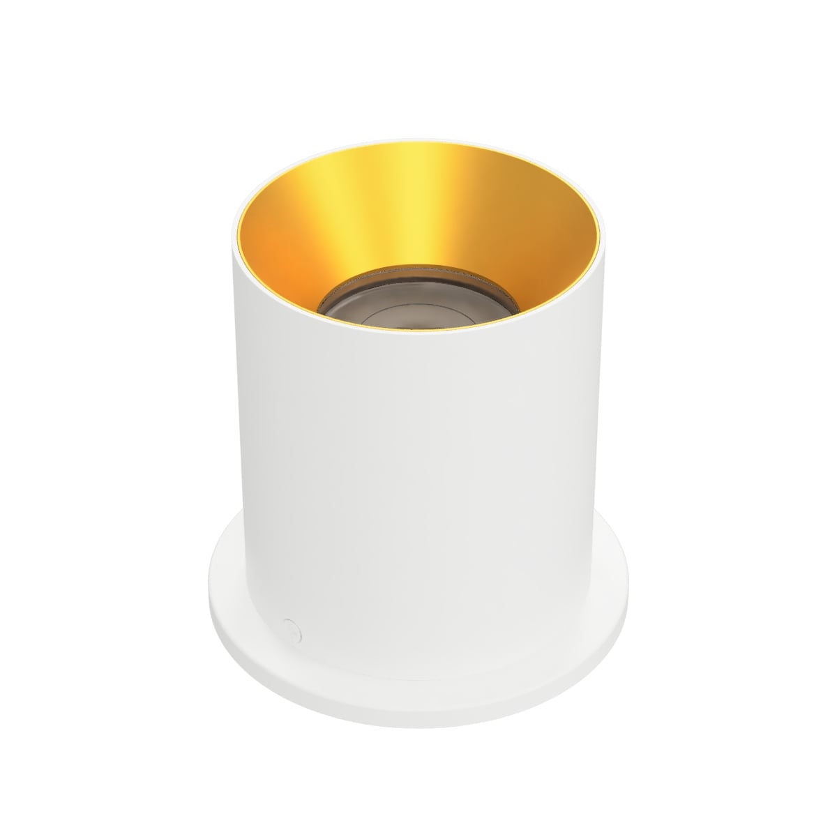 Zoron 5CCT Ceiling Mount - Round