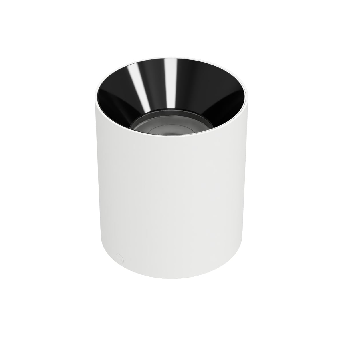 Zoron 5CCT Ceiling Mount Trimless - Round