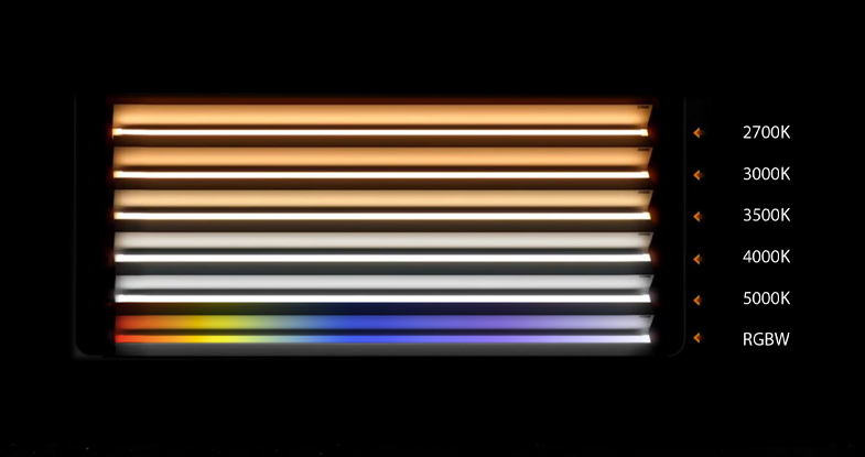 Multiple CCT Options + RGBW for Versatile Lighting Effects