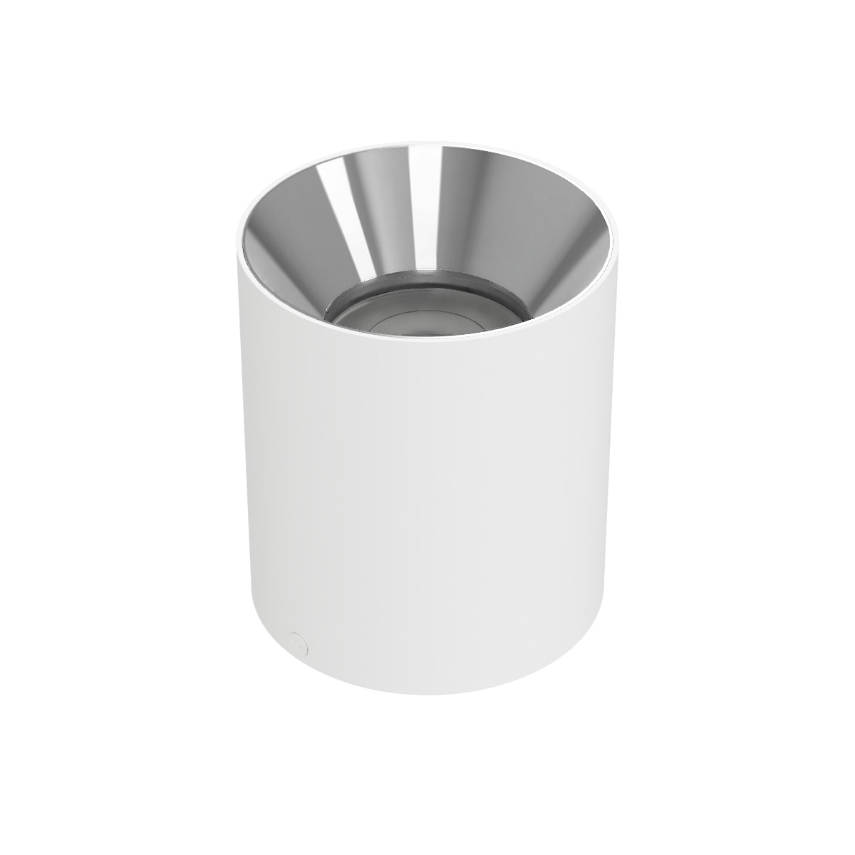 Zoron 5CCT Ceiling Mount Trimless - Round