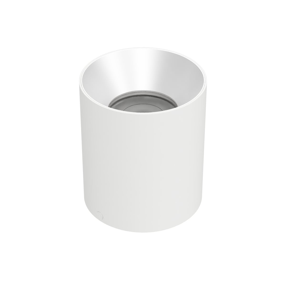 Zoron 5CCT Ceiling Mount Trimless - Round