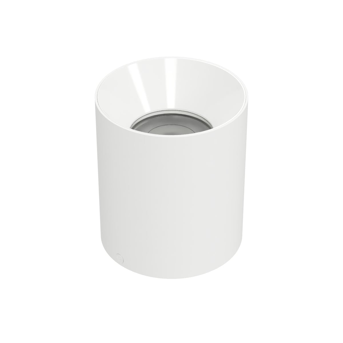 Zoron 5CCT Ceiling Mount Trimless - Round