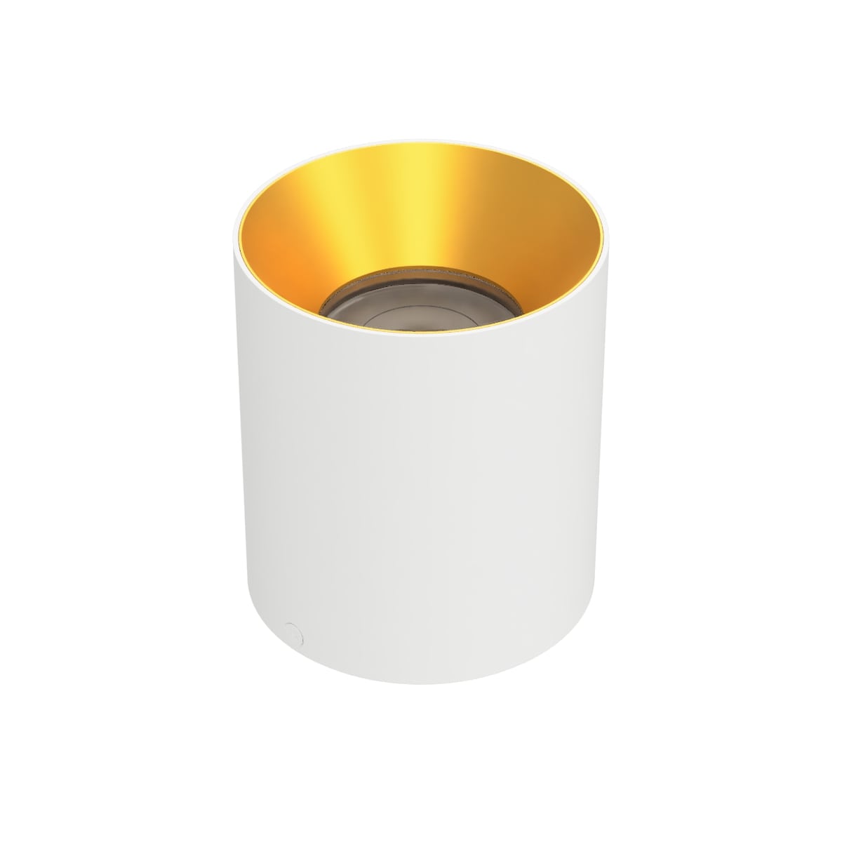 Zoron 5CCT Ceiling Mount Trimless - Round
