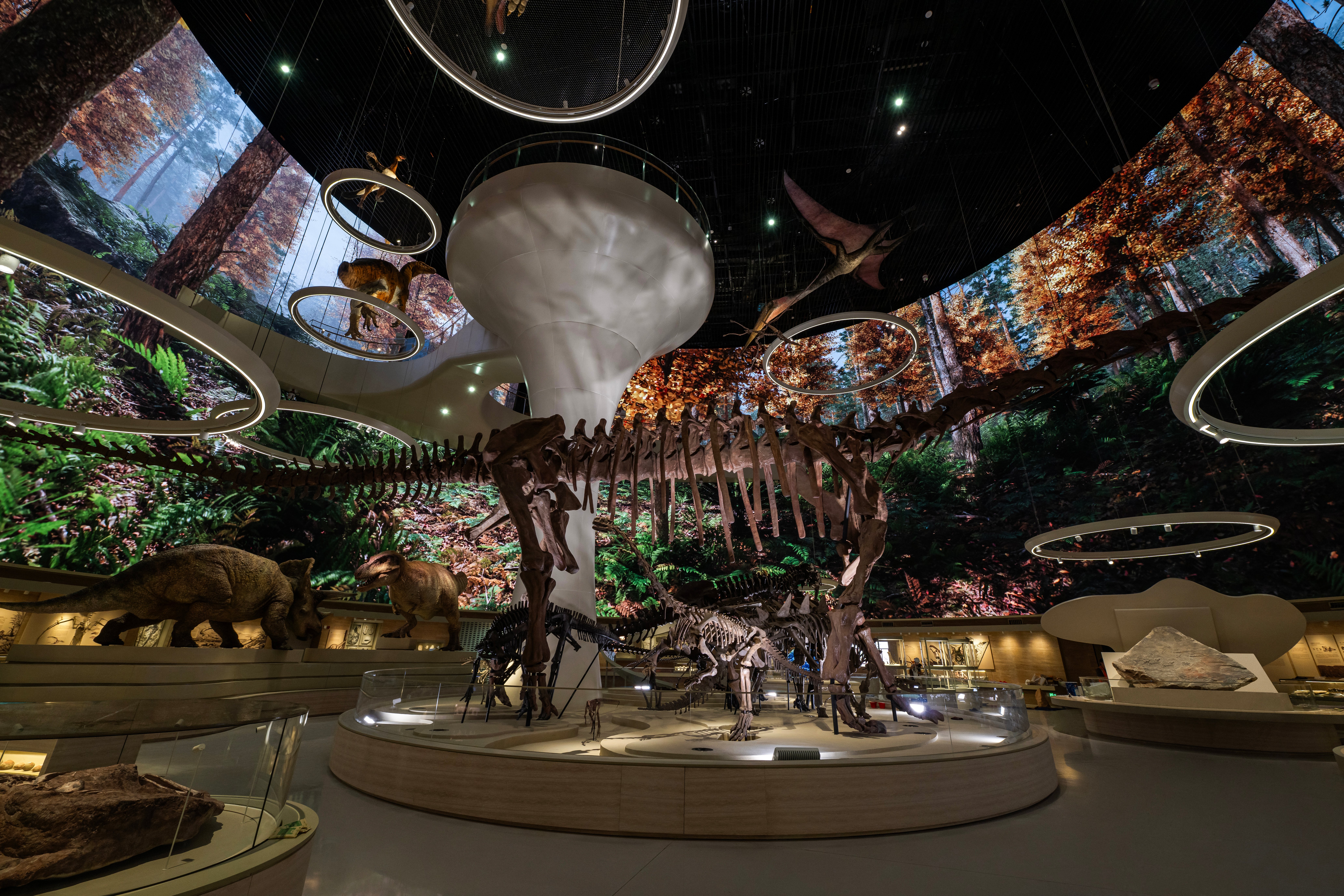 Shenzhen Natural History Museum